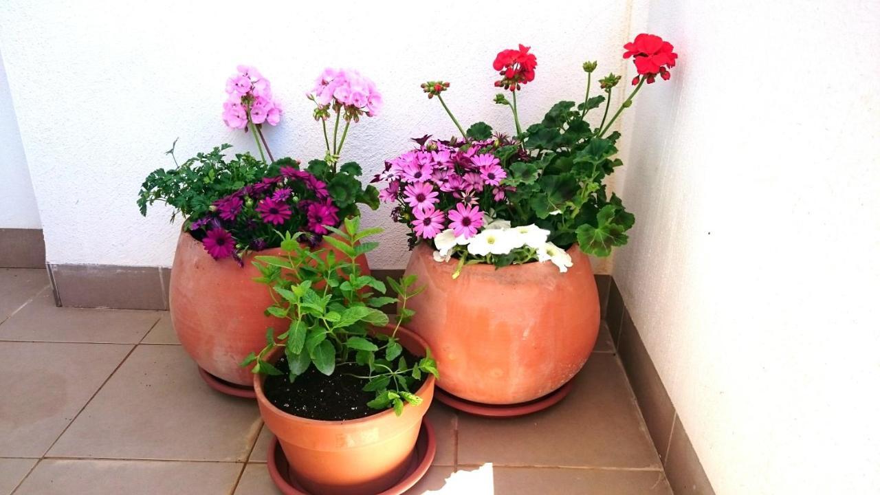Apartamento De Dos Dormitorios Junto A Mojacar Playa Garrucha Buitenkant foto